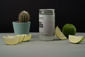 Margarita | 12%VOL | Salt, Tequila, Lime & Regret - Free Decisions (Maybe) - Boozy